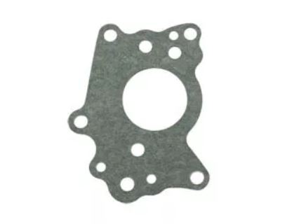 FEED PUMP GASKET - DUP
