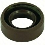 GOVERNOR SEAL DUP