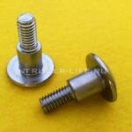 MOUNTING BOLT