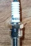 SPARK PLUG (BOXER/ STAR) OCELOT