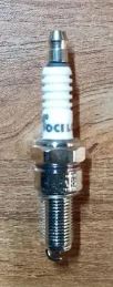 SPARK PLUG (BOXER/ STAR) OCELOT