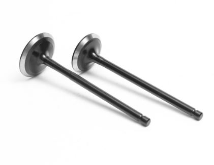 VALVE SET (BOXER) OCELOT