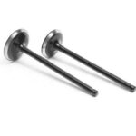 VALVE SET (HLX 150) OCELOT