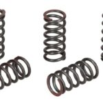 CLUTCH SPRING C&G - TUK